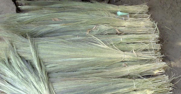 Manufacturers Exporters and Wholesale Suppliers of Grass Broom 05 Guwahati Assam